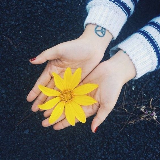 Mong muốn nội tâm an hòa, chỉ có biết cách buông bỏ. (Ảnh: Pinterest)